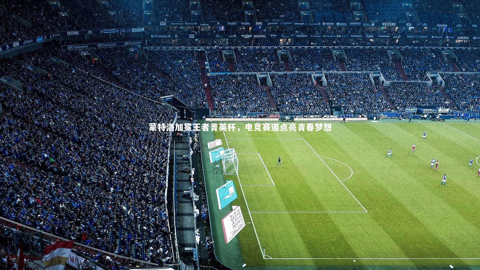 蒙特洛加冕王者菁英杯，电竞赛道点亮青春梦想